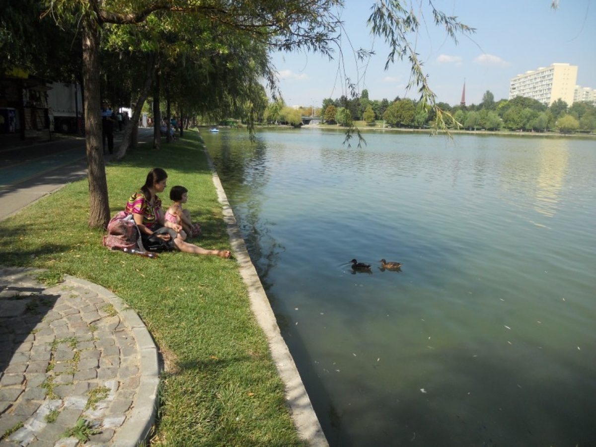 Parcul IOR