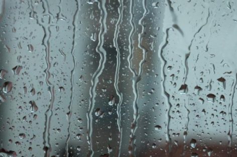 Meteo: Cod galben de ploi şi ninsori