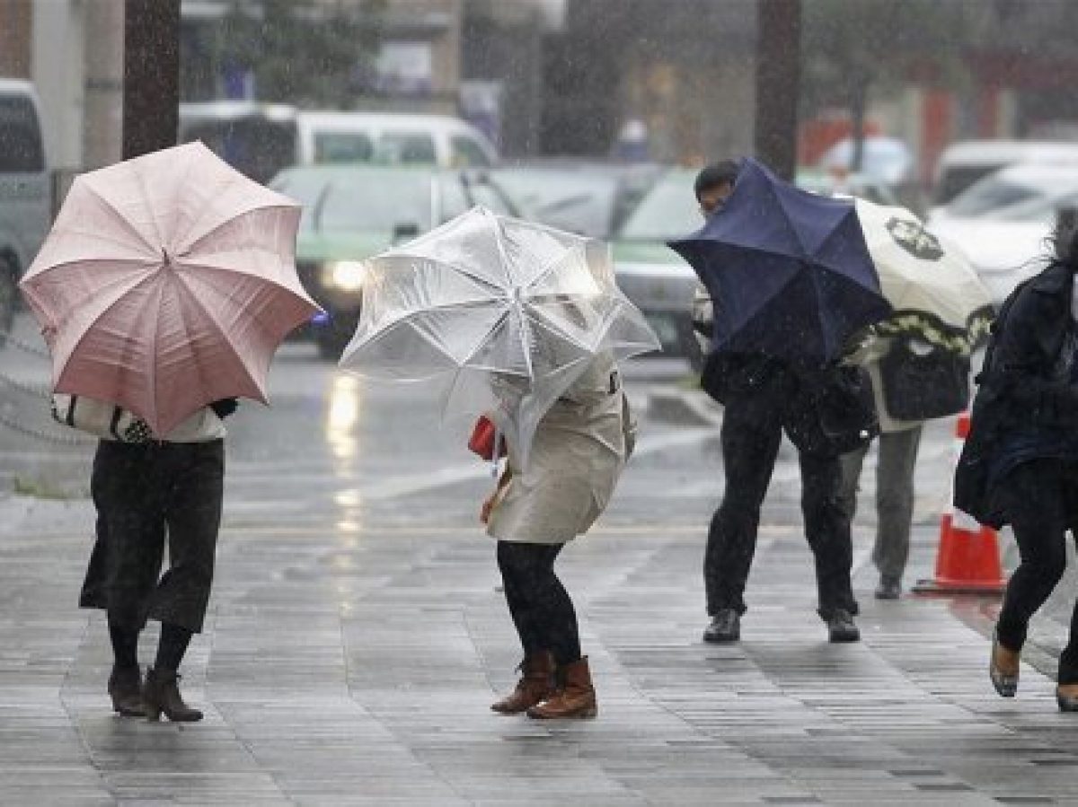 Meteo: ploi, ninsori şi vânt