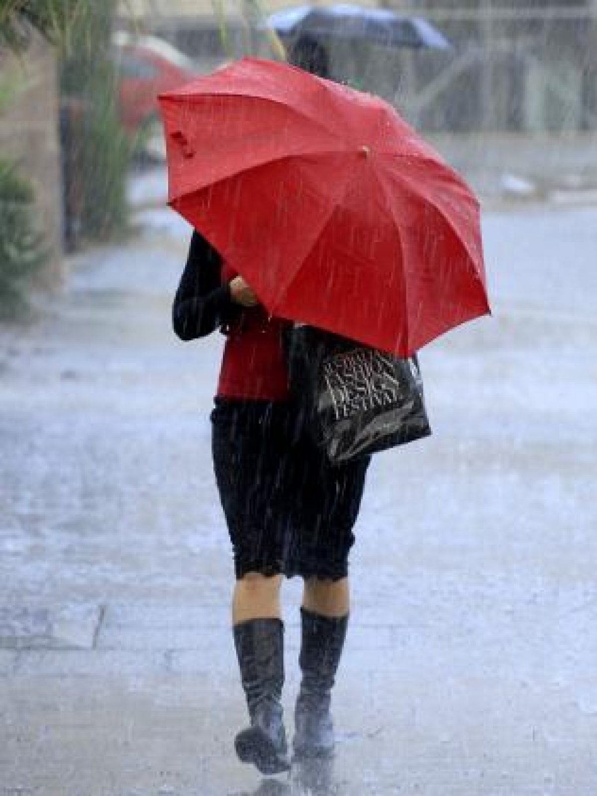 Meteo: Mai mult ploaie şi răcoare