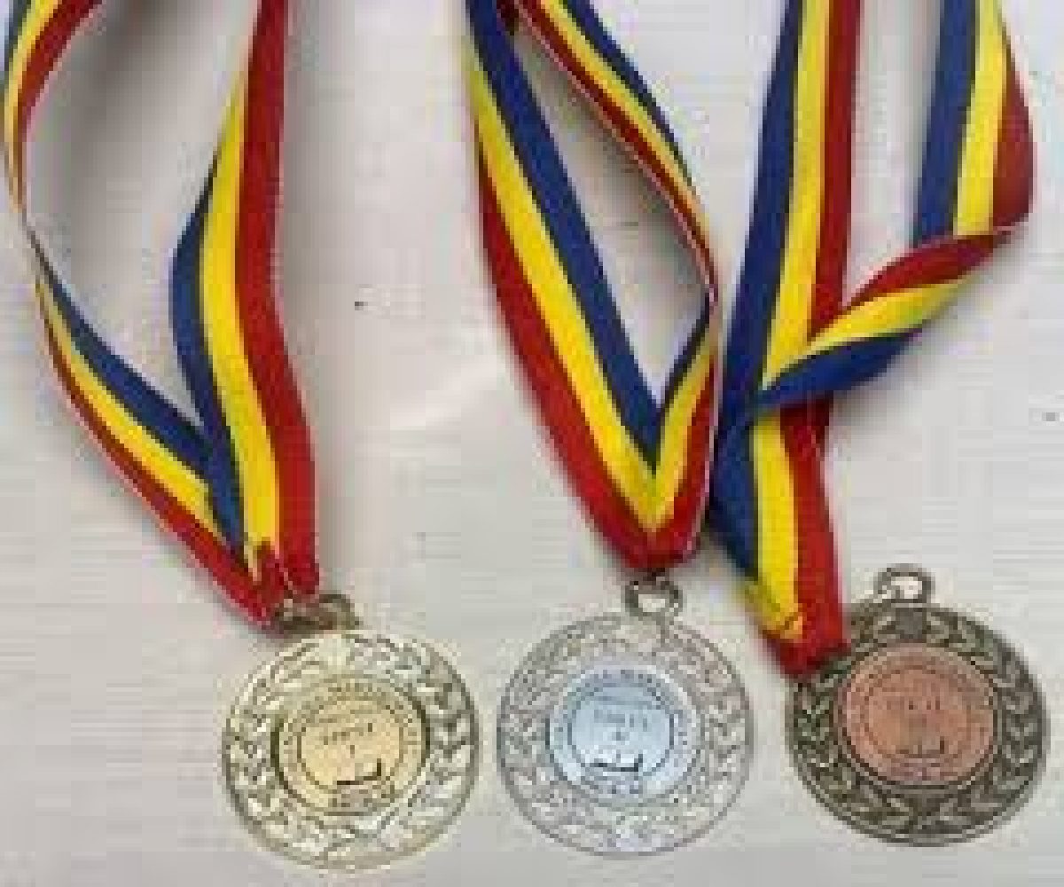 Patru medalii la Balcaniada de Informatică
