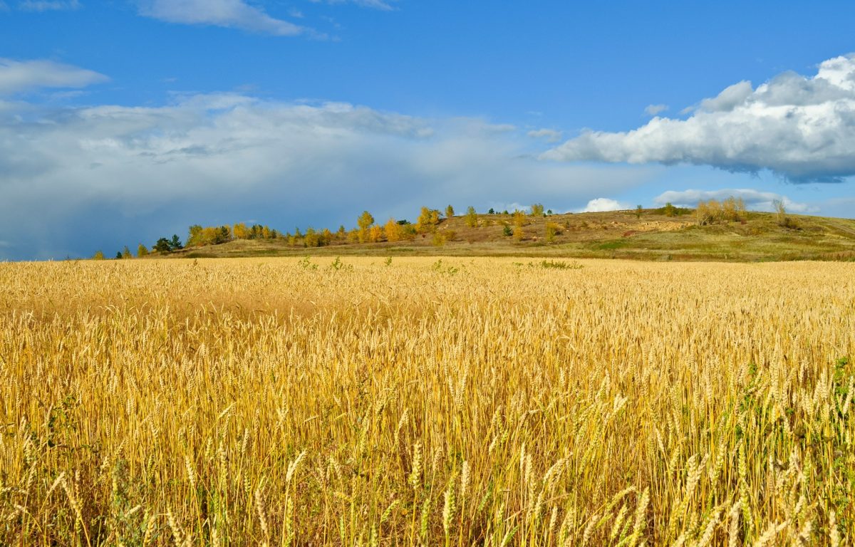 Iulie, august şi septembrie – trei luni fierbinţi şi secetoase