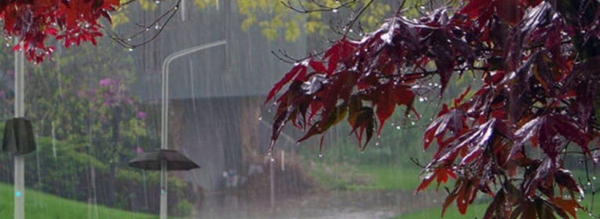 Informare meteo. Caniculă în sud şi vijelii în restul ţării