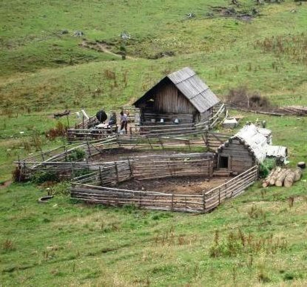 Viitorul României se poate naşte oriunde, chiar şi pe un deal