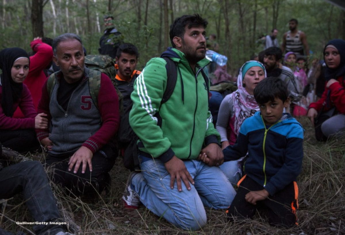Un grup de refugiaţi, descoperit în apropierea Autostrăzii Bucureşti-Piteşti
