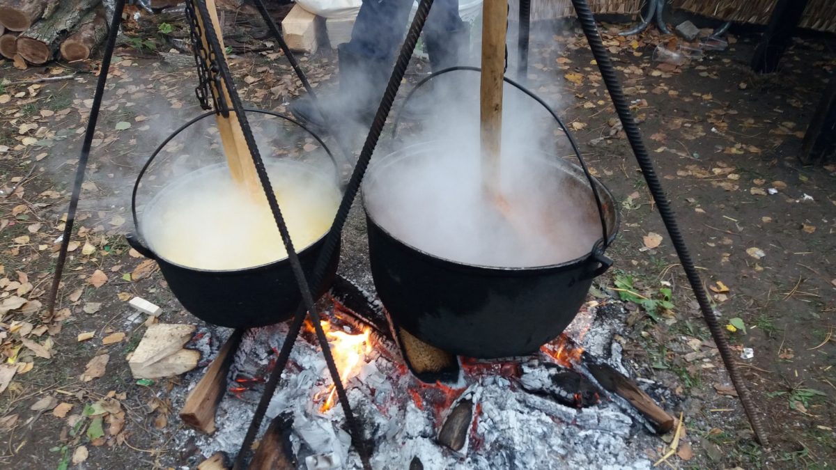 Cum au ales românii oaia, în ziua lansării programului iniţiat de Ministerul Agriculturii