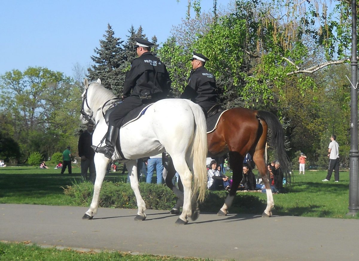 Şefii Poliţiei Locale Bucureşti au fost chemaţi la DNA