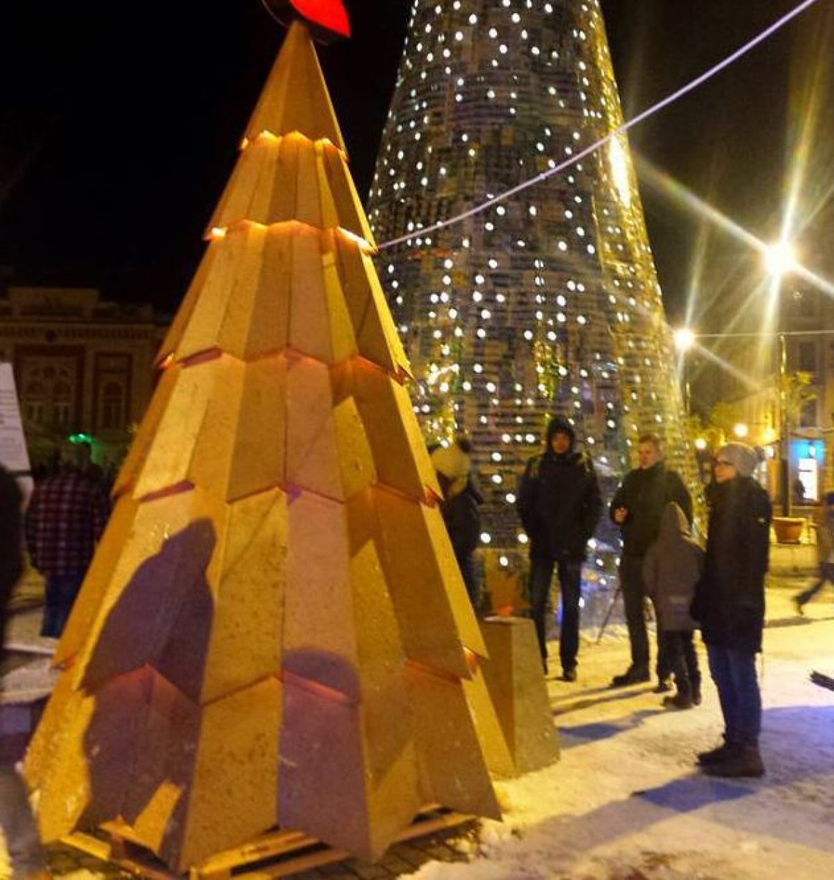 Semnal de alarmă. Pădurea de brazi din centrul Timişoarei